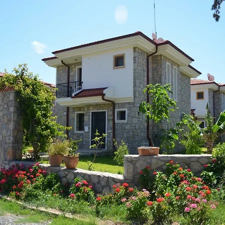فيلة Mercan