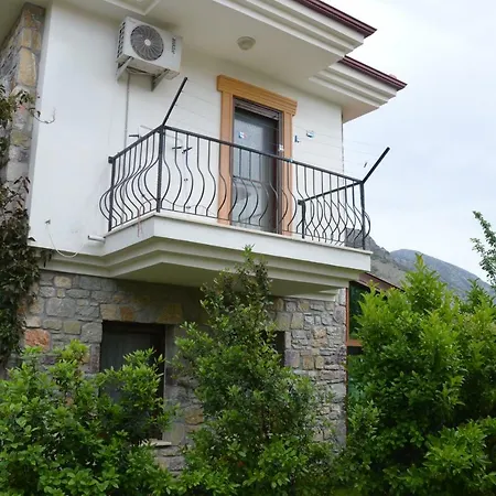 فيلة Mercan