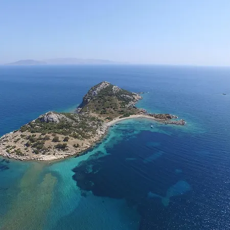 Mercan فيلة داتْشا