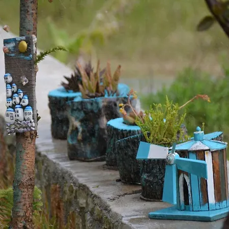 Mercan * داتْشا