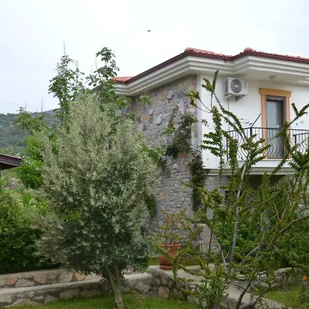 Mercan